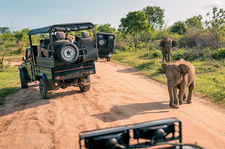 Explore the best Big 5 Aquila Safari Tour and Wine Tasting - Photo 1 of 24